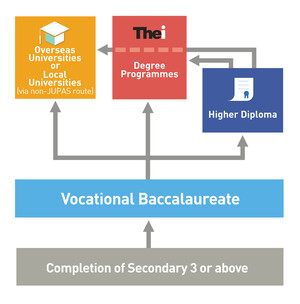 Progression to Degree and Higher Diploma